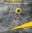 Raport EY: Polska prawdziwą specjalną strefą ekonomiczną. Zwłaszcza do czerwca 2014