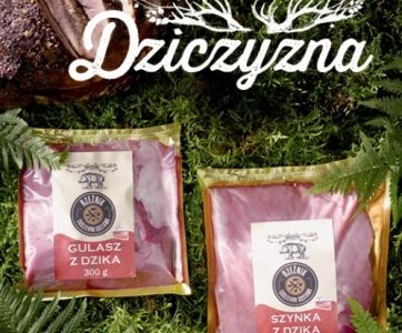 DZIK W LIDLU I NA TWOIM STOLE