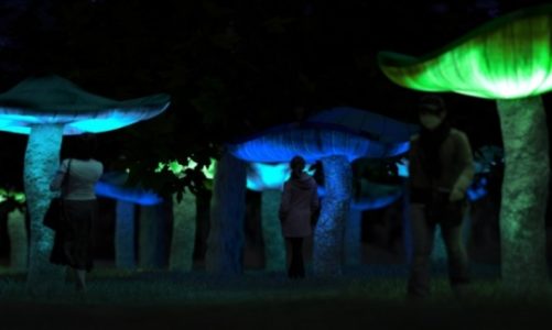 Light.Move.Festival. rozświetli centrum Łodzi