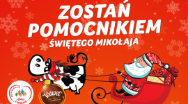 Świąteczna współpraca marki Wawel i Fundacji „Wawel z Rodziną” z Frisco.pl